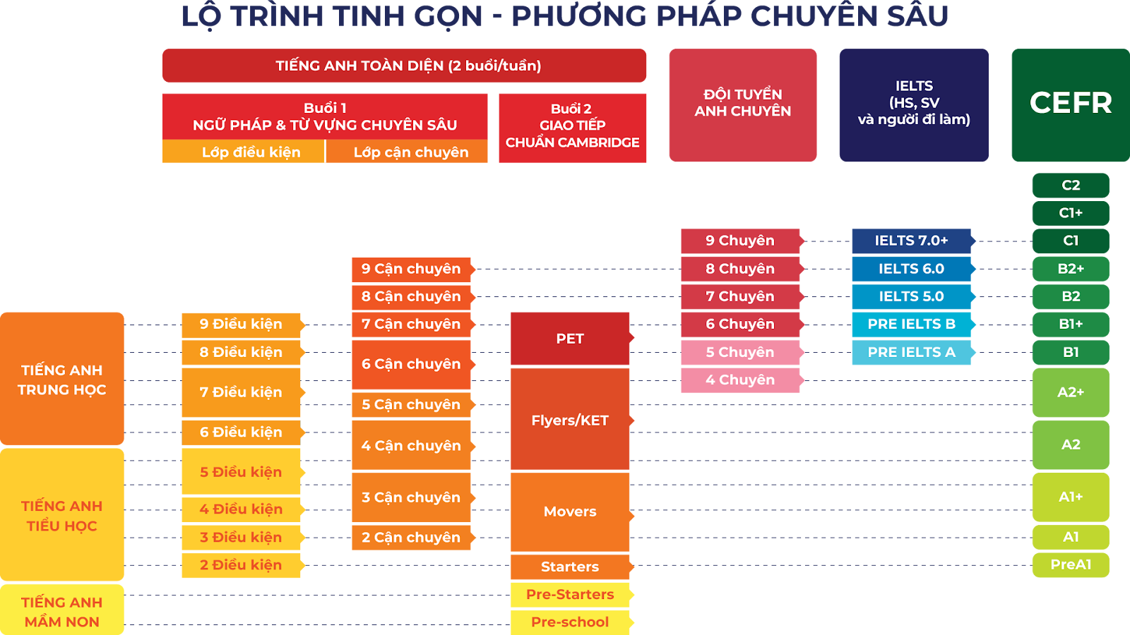 Chương trình học của Amslink đa dạng - lộ trình học tinh gọn và phương pháp chuyên sâu