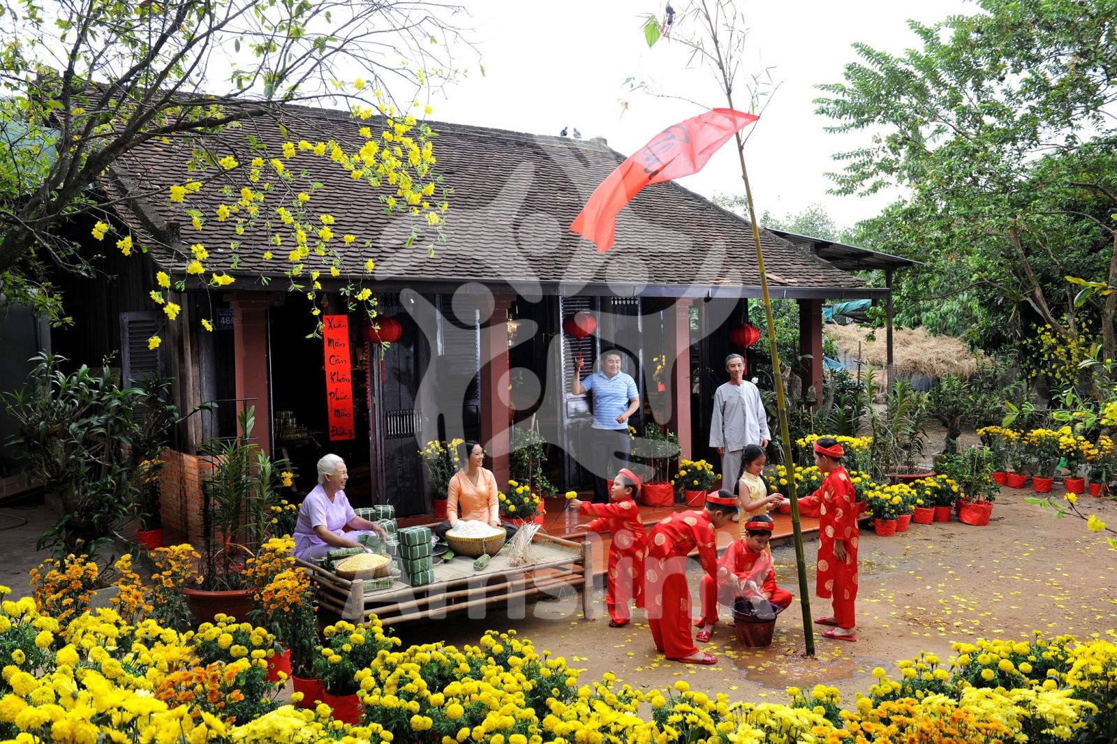 Đoạn văn tiếng Anh mô tả về những hoạt động thường làm vào dịp Tết