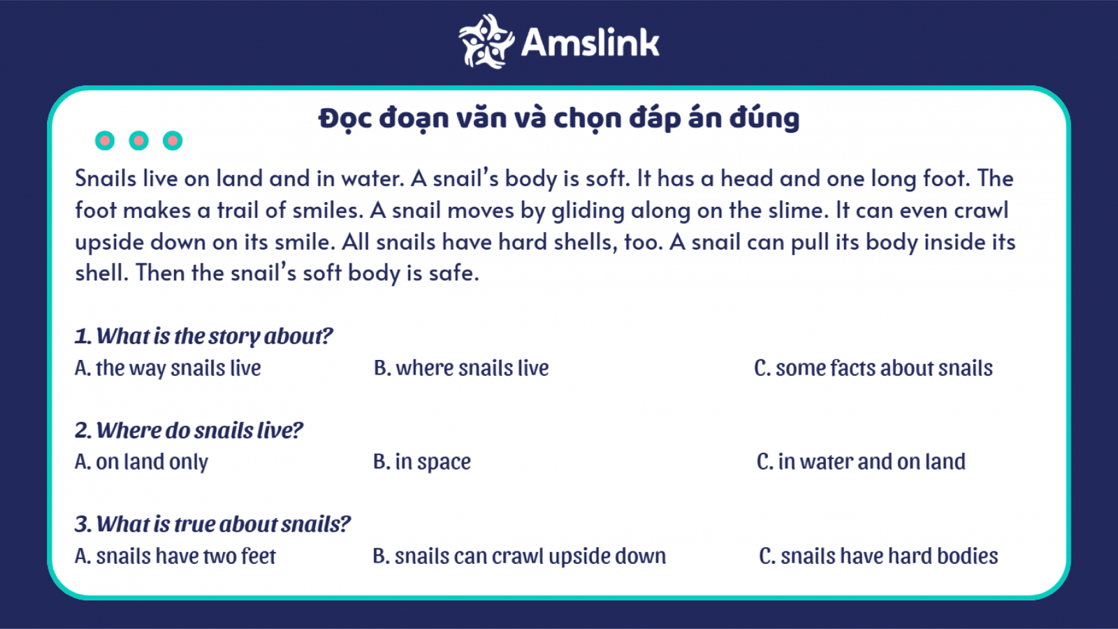 Bài tập đọc hiểu tiếng Anh lớp 3 quen thuộc có các đáp án để con lựa chọn
